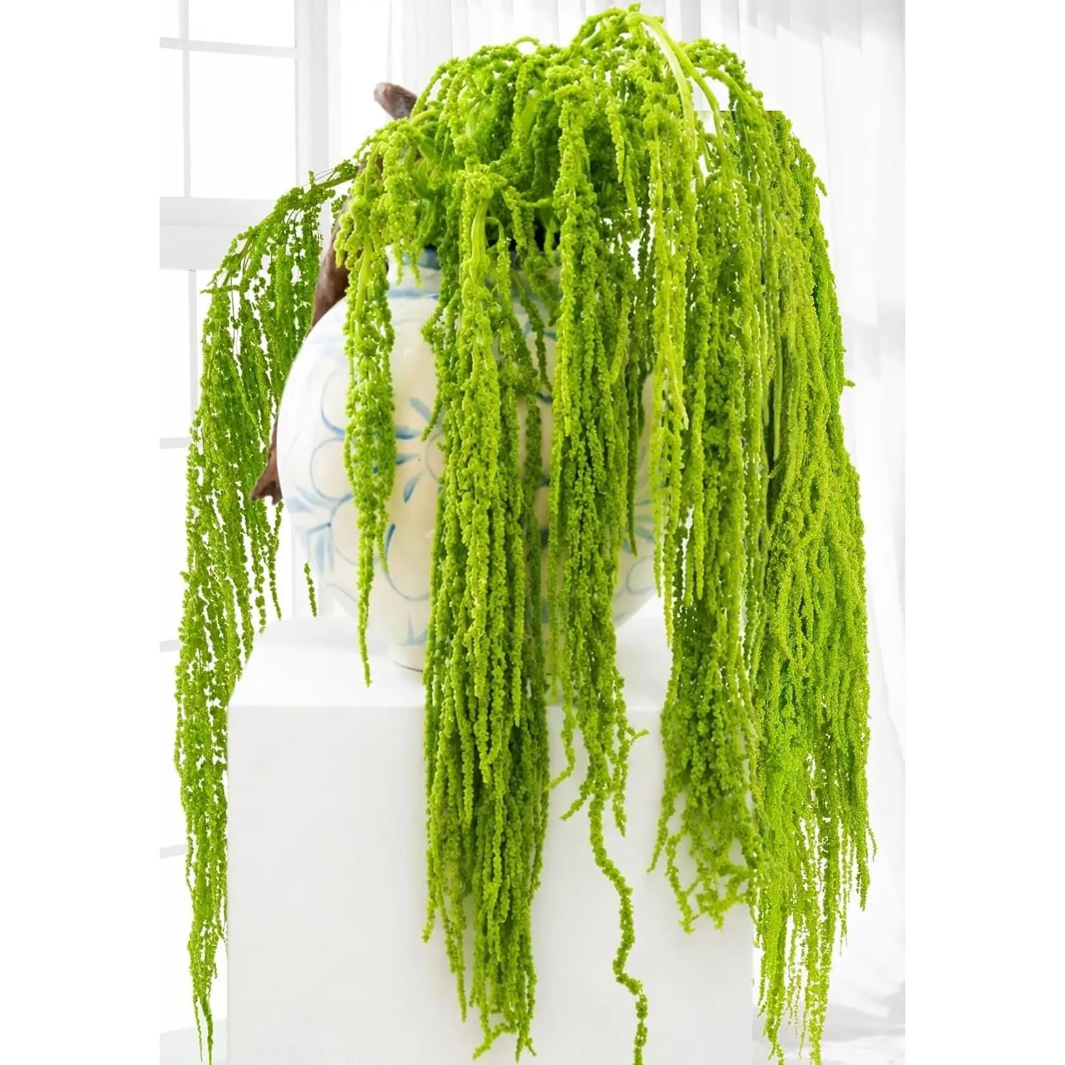 20Pcs Neon Green Dried Amaranthus Hanging Flowers - 23" Preserved Amaranthus Stems for Wedding Arch Decor, Floral Arrangement, Wall Hanging, Garland, Vase, Party and Home Decor