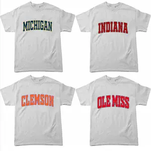 All Team Distressed Varsity College T-Shirt – Ash Grey, Custom Your Team, Classic Cotton Tee With A Vintage Athletic Look, Game Day Shirt, Gift for Fans