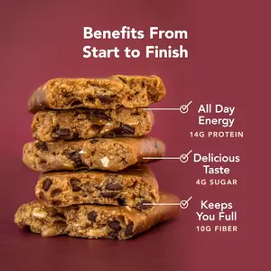 ALOHA Organic Plant-Based Protein Bars – Oatmeal Chocolate Chip, 12 Vegan Bars, Low Sugar, Gluten-Free, Low Carb, Paleo-Friendly