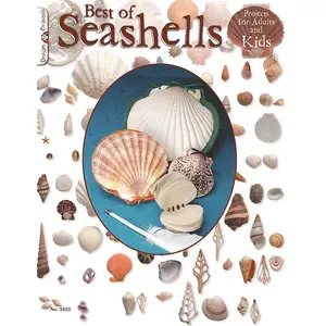 Best Of Seashells