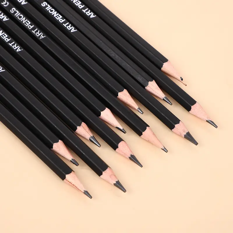 Pencil Set Drawing and Sketching Materials, Artist Painting, Art Supplies with Sketching Pencils Graphite and Charcoal for Adult Professionals, 31 Pieces zipper case pretty gift