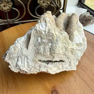 Summerville Lace Agate Rough