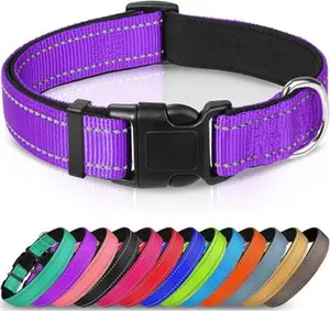 Joytale: Reflective Dog Collar