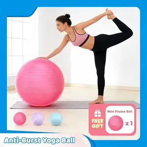 Anti-Burst Exercise Ball with Mini Pilates Ball, Thickened Yoga Ball for Home Workout, Core Training & Fitness