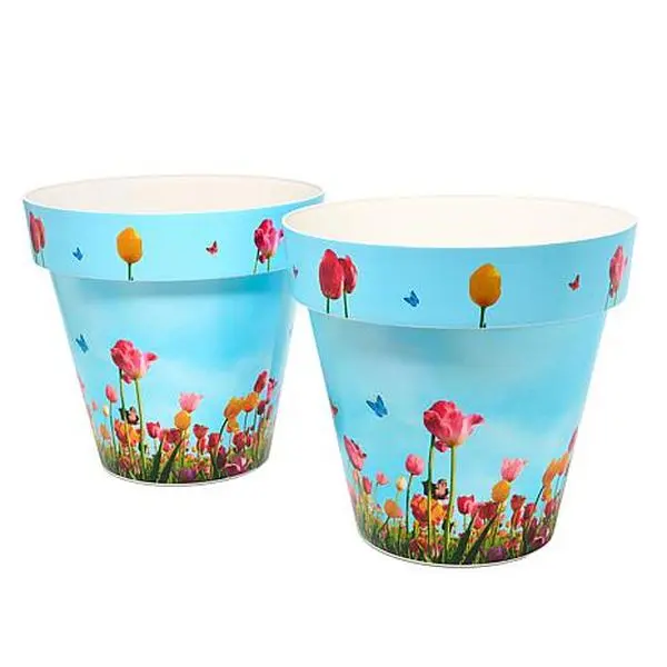 GreanBase Greanbase 15" Printed Planters - Set of 2