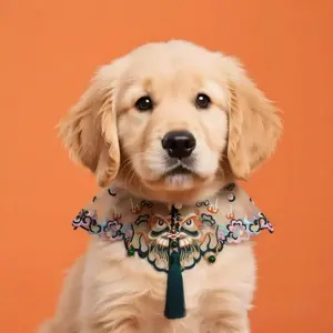 Chinese-Style Embroidered Shawl National Trend Pet Scarf Cat Dog Hanfu Cloud Shoulder Accessory Lion Dance Pendant Bib