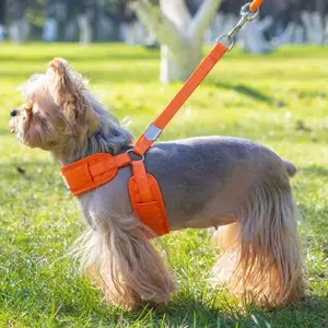 Ultra-Safe Small Dog Harness Set! Includes 59in Leash, Breathable Mesh. Escape-proof Design Perfect for Outdoor Training. Keep Your Pup Secure During Adventures! swivel head product tool