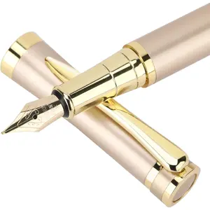 Fountain Pen Set - Luxury Writing Instrument for Men & Women - Fine Nib With 10 Ink Cartridges and Refill Converter -