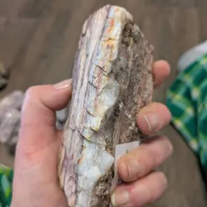 petrified wood