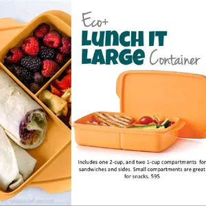 Lunch It Large