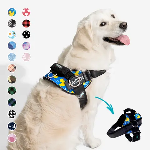 Joyride No-Pull Dog Harness - Adjustable, Reflective, Padded Soft Mesh Vest with Side Rings, Handle, Easy On-Off, 13 Customizable Name Tags, Tie Dye & Cute Patterns for Small-Medium-Large Dogs (Outdoor Walking), Cute Pattern