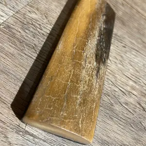 Mammoth Bone Segment or Bolster Knife Handle Material
