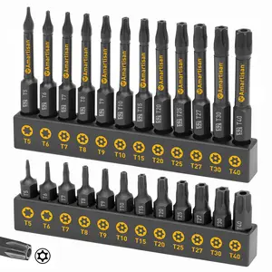 24-Piece Torx Bit Set – T5 to T40 S2 Steel Bits | Includes Security & Tamper-Proof Sizes | 1” & 2.3” Lengths