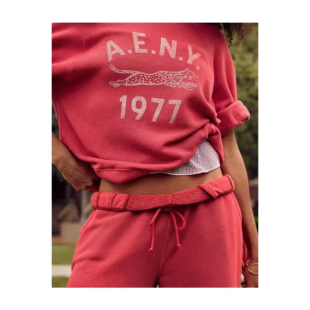 AE Campus Short-Sleeve Sweatshirt