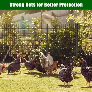 Galvanized Welded Wire Mesh Roll – Durable Hardware Cloth, Sturdy Garden Fence for Poultry, Livestock, Tree Guard, Animal Barrier, Outdoor & Craft Use