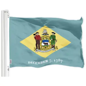 G128 Delaware DE State Flag | 3x5 Ft | LiteWeave Pro Series Printed 300D Polyester | Indoor/Outdoor, Vibrant Colors, Brass Grommets
