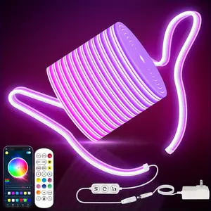 LED Neon Rope Lights USB Powered, RGBIC Flexible Rope Lights with APP Control & Remote Control, LED Strip Colorful Lights for Bedroom, Living Room, Game Room, Wall, Home, Modern Lighting, Music Rhythm RGB Light