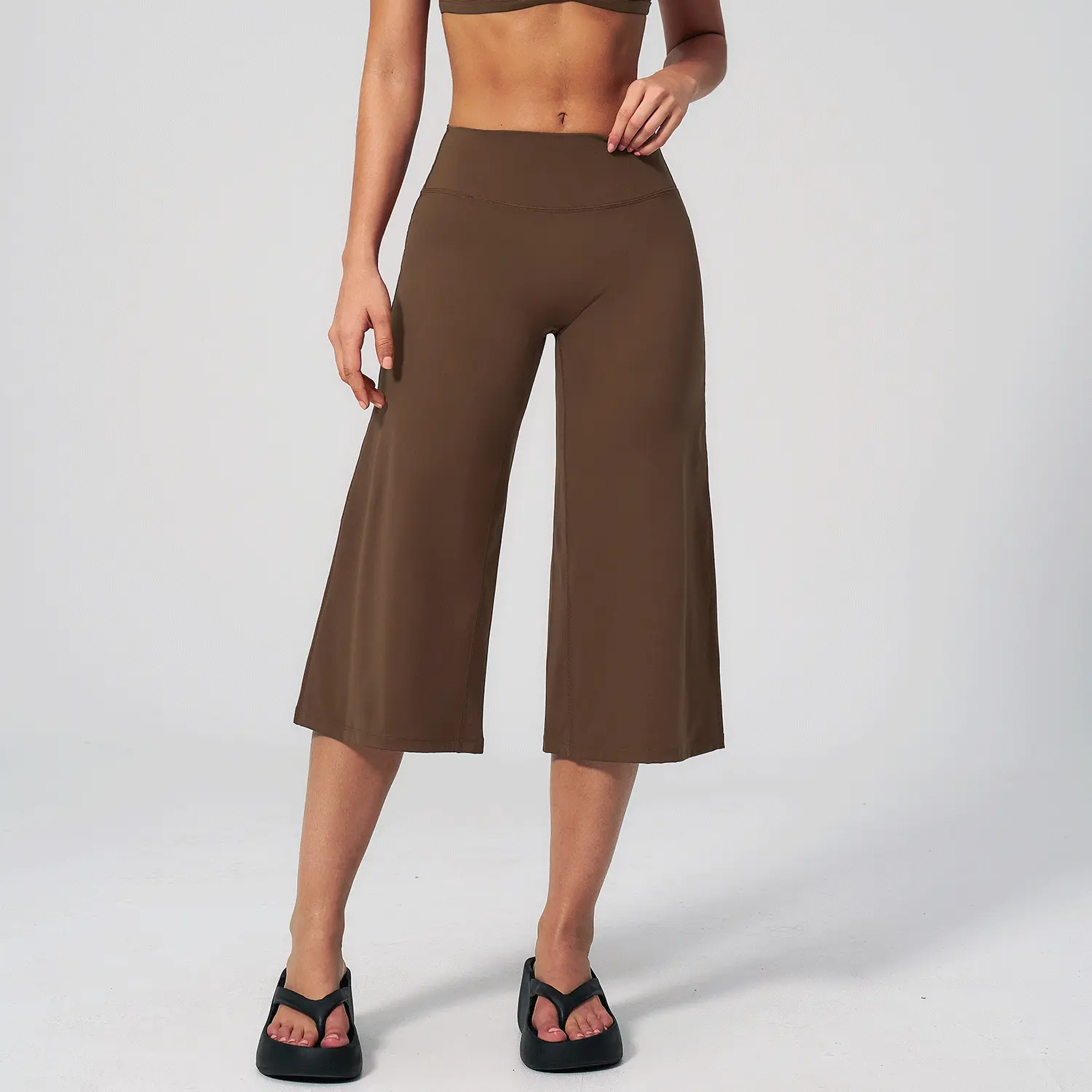 Chocolate Brown 