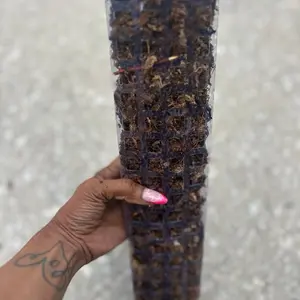 15 inch moss pole 15 inch moss pole