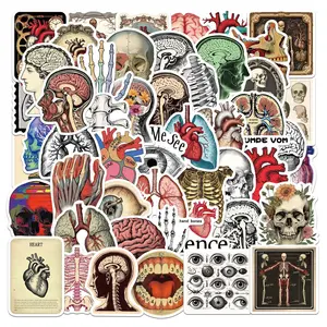 50 retro anatomy stickers and Amazon Human Anatomy suitcase graffiti stickers
