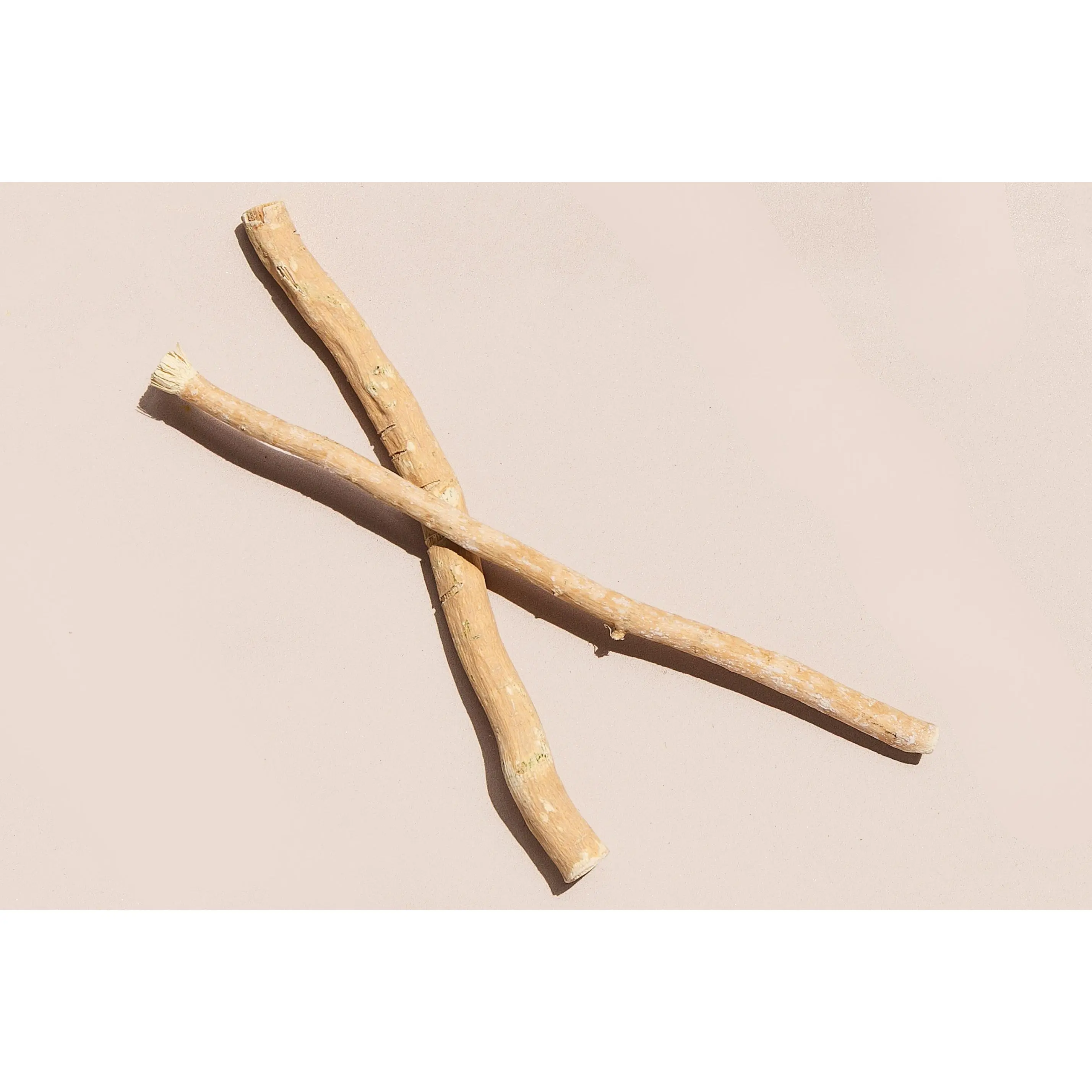 Organic Miswak Twig: Sustainably Sourced from the Arak Tree Organic Miswak Twig: Sustainably Sourced from the Arak Tree