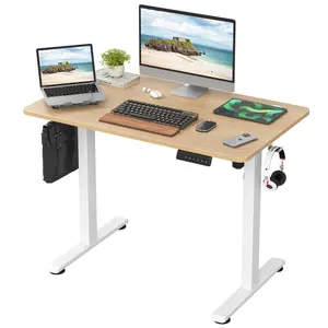 Home Office Desk Electric Standing Desk Adjustable Height Sit Stand Desk with Splice Board