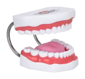 Super Duper Webber Whopper Mouth – Oversized Novelty Mouth Toy, Fun Gag Gift for Kids & Adults, Party Favor, Interactive Play Accessory, Durable Lightweight Design
