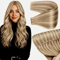 #1622 Light Golden Blonde Highlighted 