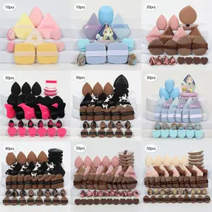 Multifunctional Makeup Tools Set, Makeup Tool Kit, Beauty Sponge for Bb Cream, Foundation, Concealer, Suitable for All Skin Types, Water Activated, Latex Free, Makeup Puffs