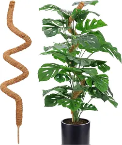 60 Inch Moss Pole for PlantsBendable Moss Pole for  MonsteraHandmade Coir  Support Stakes for Potted , Pothos