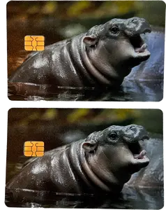 Cute Hippo Moo Deng Card Skin (2pcs)