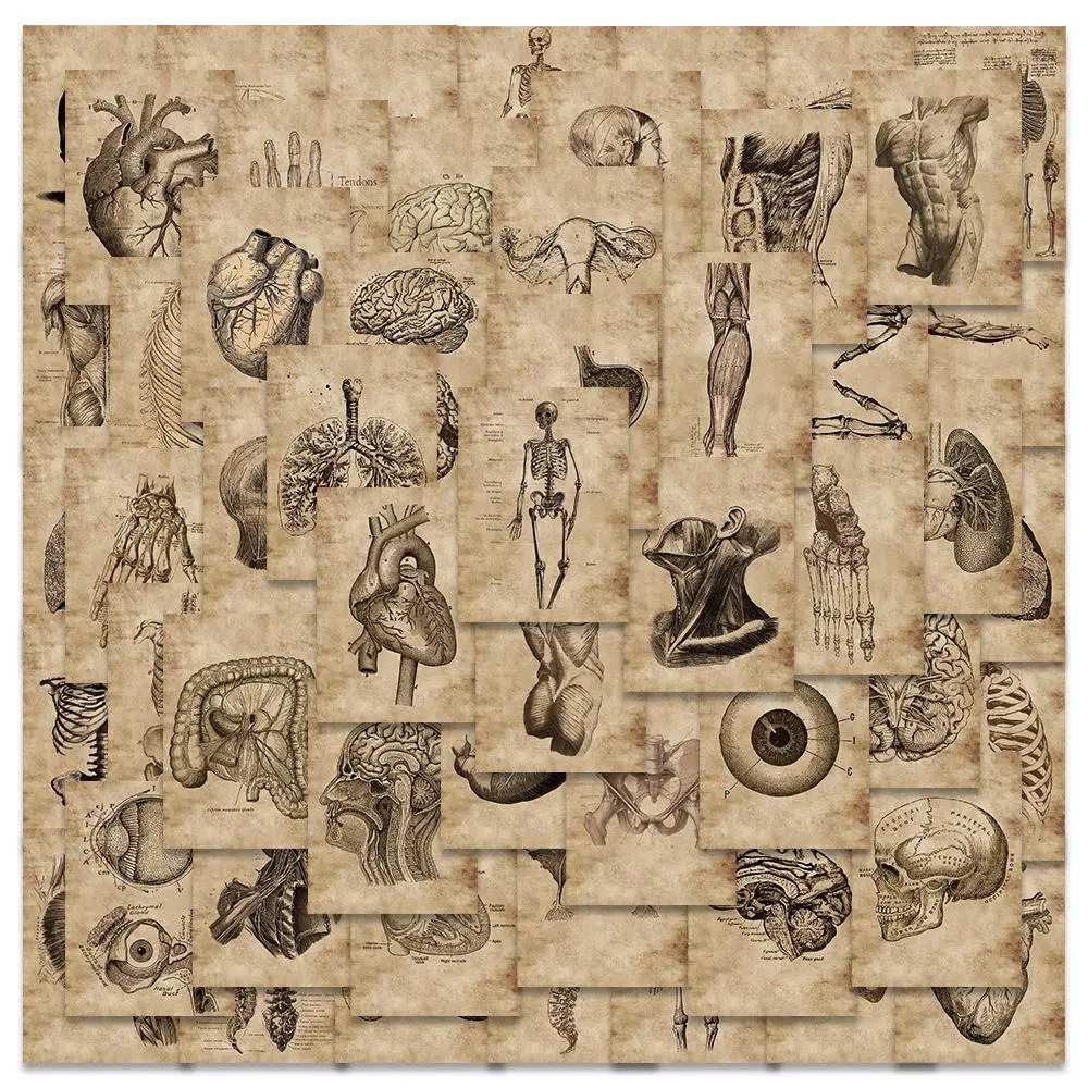 Retro Anatomy Human Skeleton Pattern Graffiti Sticker, Car Body Sticker, DIY Waterproof Decorative Sticker for Car, Bicycle, Water Bottle, Laptop, Gui