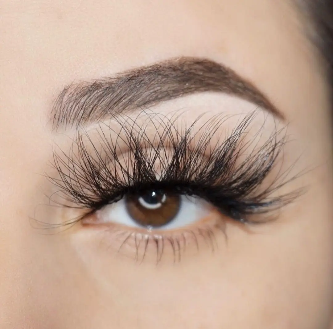 Paris Lash