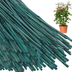 50 Pcs 4 Feet Bamboo Stakes for Bamboo Sticks Poles Indoor and Tall Garden Stakes with 100pcs Twist Ties for Tomato Bean Flowers Potted and Climbing