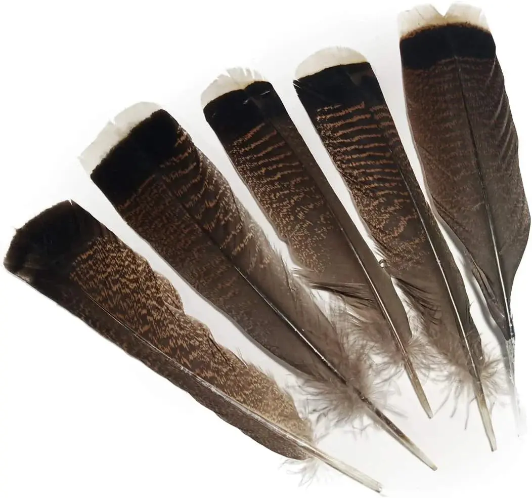 Single 7-12 Inch Natural Turkey Square Feathers Stetson Fedora Cowboy Hat Ethically Sourced