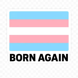 Born Again Trans Pride Flag Sticker – 3" Weatherproof Vinyl