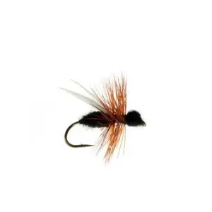 CDC Flying Ant