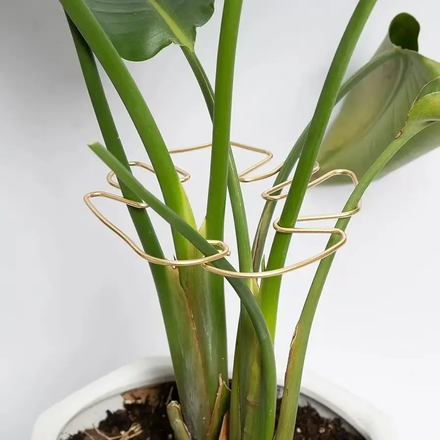 Metal Monstera Leaf Plant Support Bracket - Sturdy Metal Fixing Stand with Easy Installation for Large Indoor Plants, Monstera, Bird of Paradise, Aesthetic Trellis for Healthy Growth, Indoor Plant Accessories, Plant Supplies