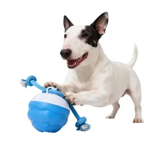 Interactive Motion Sensor Dog Ball with Squeaker, Active Rolling Training Accessory for Daily Exercise, Durable Chew Option for Dog Parties & Playdates