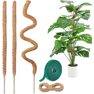 3 Pack Moss Pole,31 Inch Monstera Plant,Bendable Plant Trellis Moss Pole for Plants Monstera,Moss Poles for Climbing Plants Indoor,Coir Plant Pole Sticks Stakes (3pcs)