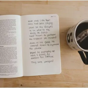 The Jesus Bible Journal, John, NIV, Paperback, Comfort Print