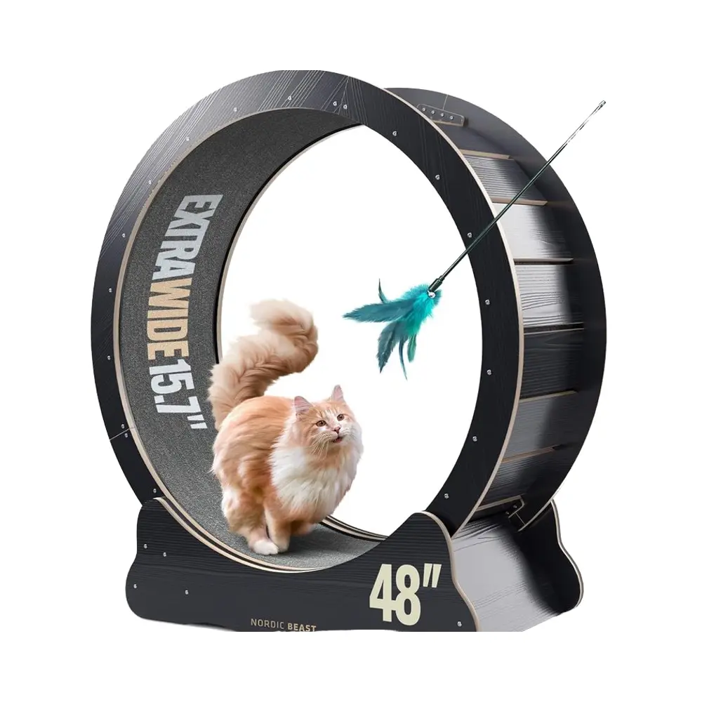 OMNIRA 48'' XL Cat Wheel - Safe, Quiet & Stable Exercise Wheel for Large Indoor Cats up to 45 lbs - 15.7'' Extra-Wide Surface Fits 2 Cats Side by Side & Prevents Wobbling