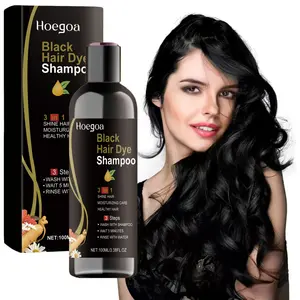 Hoegoa Herbal Shampoo Contains Natural Ingredients, Ginseng, Fo-Ti, Ginger - 3-in-1 Hair Dye and Conditioner, Quick Gey Coverage, Covers Grey Hair, Moisturizing Care, Non-irritating, Haircare