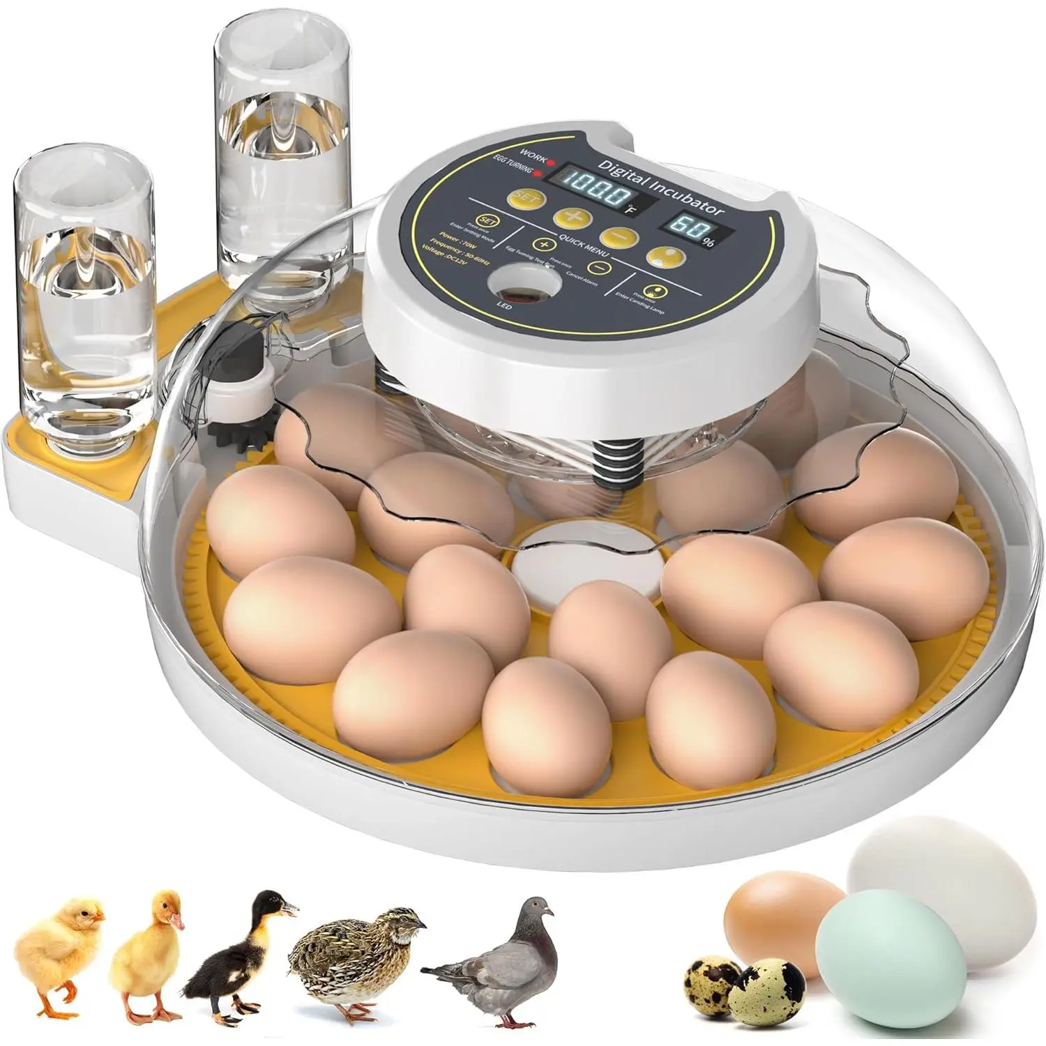 18 Egg Incubator with Automatic Egg Turning and Humidity Control, Egg Incubators for Hatching Eggs Chicken Ducks Goose Quail Pigeon Turkey, Fully Automatic Incubator for Home Classroom Lab Farm