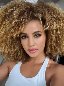 Kinky Curly Wigs Side Part 14 Inch Afro Curly Wig for Black Women Ombre Blonde Brown Twist Out African American Synthetic Material Wigs Coily Textured Wigs