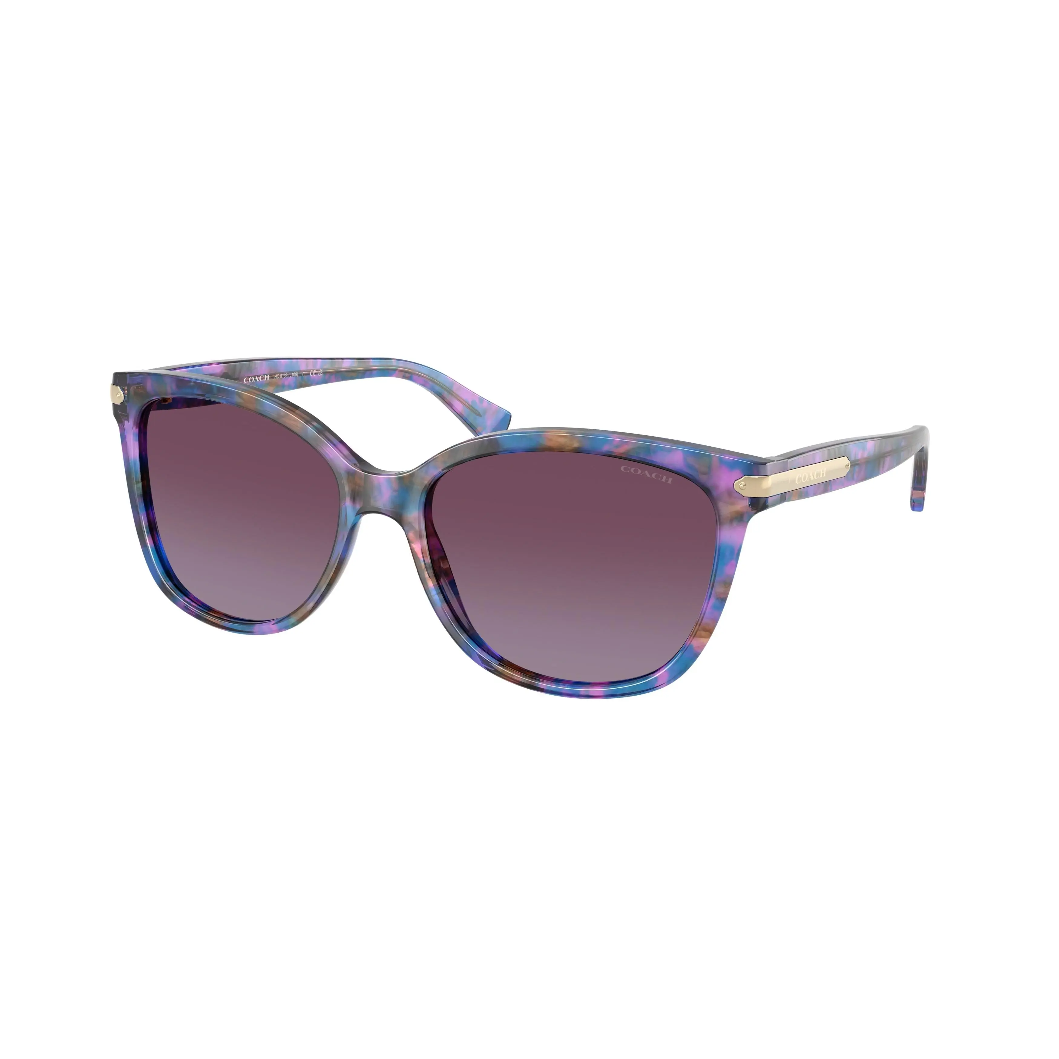 Coach 0HC8132 L109