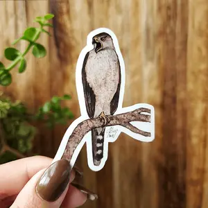 AZ Series Coopers Hawk Vinyl Sticker