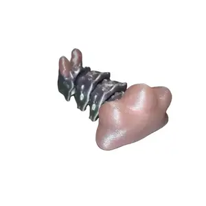 SeaBunny Slug (3d printed)