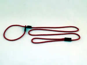 Soft Lines P20406RED Small Dog Slip Leash 0.25 In. Diameter By 6 Ft. - Red