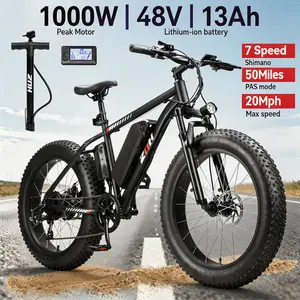 ZNH Electric Bike for Adults, 1000W Peak Motor, 24"×4.0" Fat Tire, 624Wh Removable Battery, 50 Miles Range, 20 MPH Top Speed, Commuter/Mountain/Off-Road Ebike Off-Road Fat Tire Electric Bike